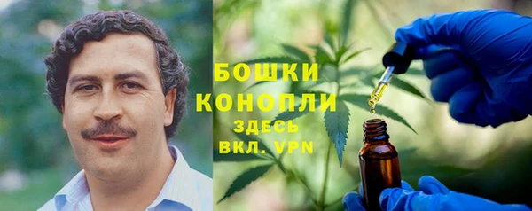 МДПВ Бородино