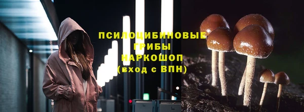 МДПВ Бородино