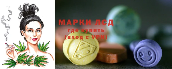 МДПВ Бородино