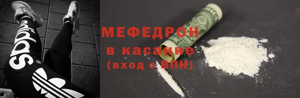 МДПВ Бородино
