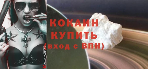 МДПВ Бородино