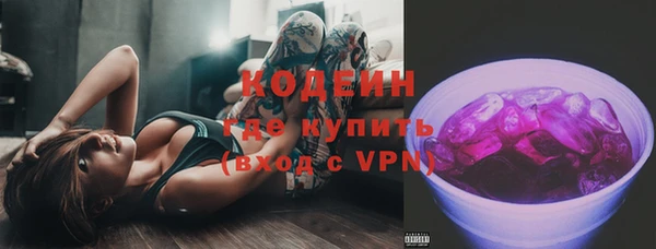МДПВ Бородино