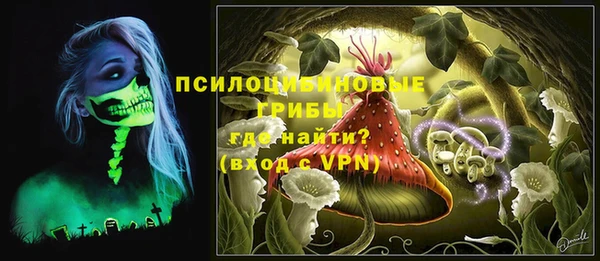 круглые Бронницы