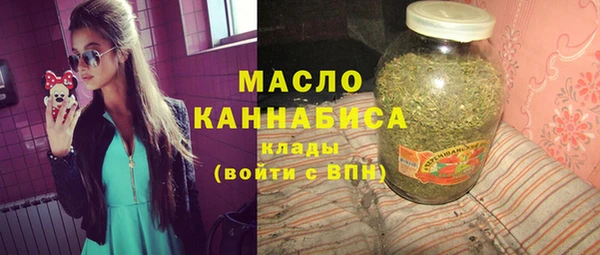 МДПВ Бородино