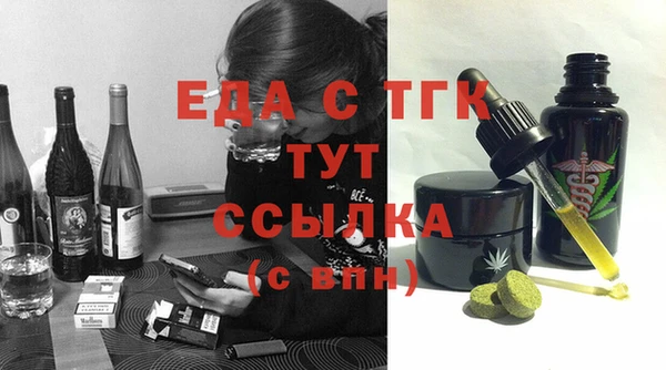 МДПВ Бородино