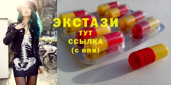 МДПВ Бородино